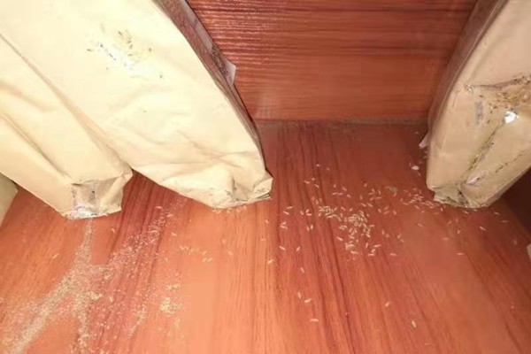 珠海中山別墅防治白蟻廠家-咨詢這家 珠海中山別墅防治白蟻廠家-咨詢這家