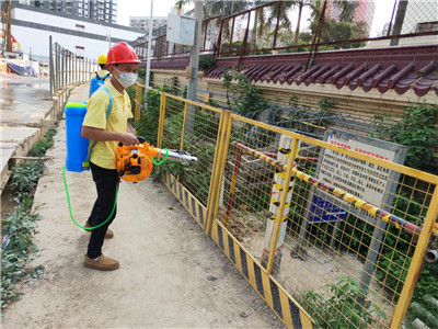 北師大快速白蟻防治 北師大快速白蟻防治