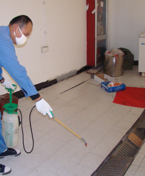 專業(yè)殺蟲滅鼠 專業(yè)殺蟲滅鼠