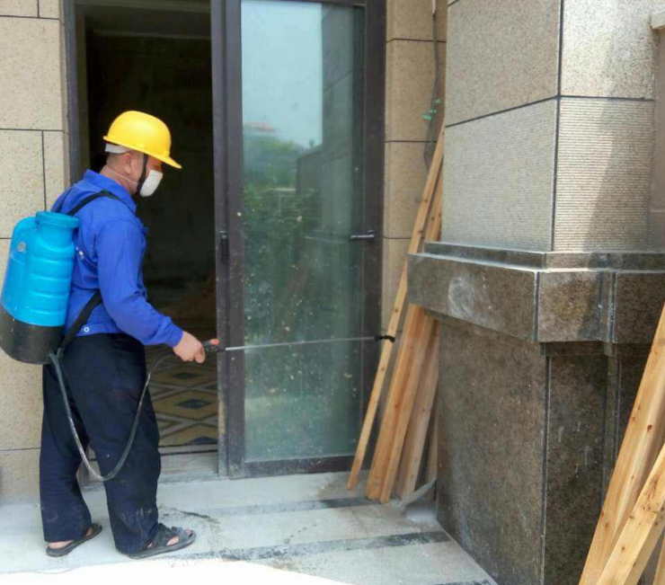 珠海白蟻防治 珠海白蟻防治