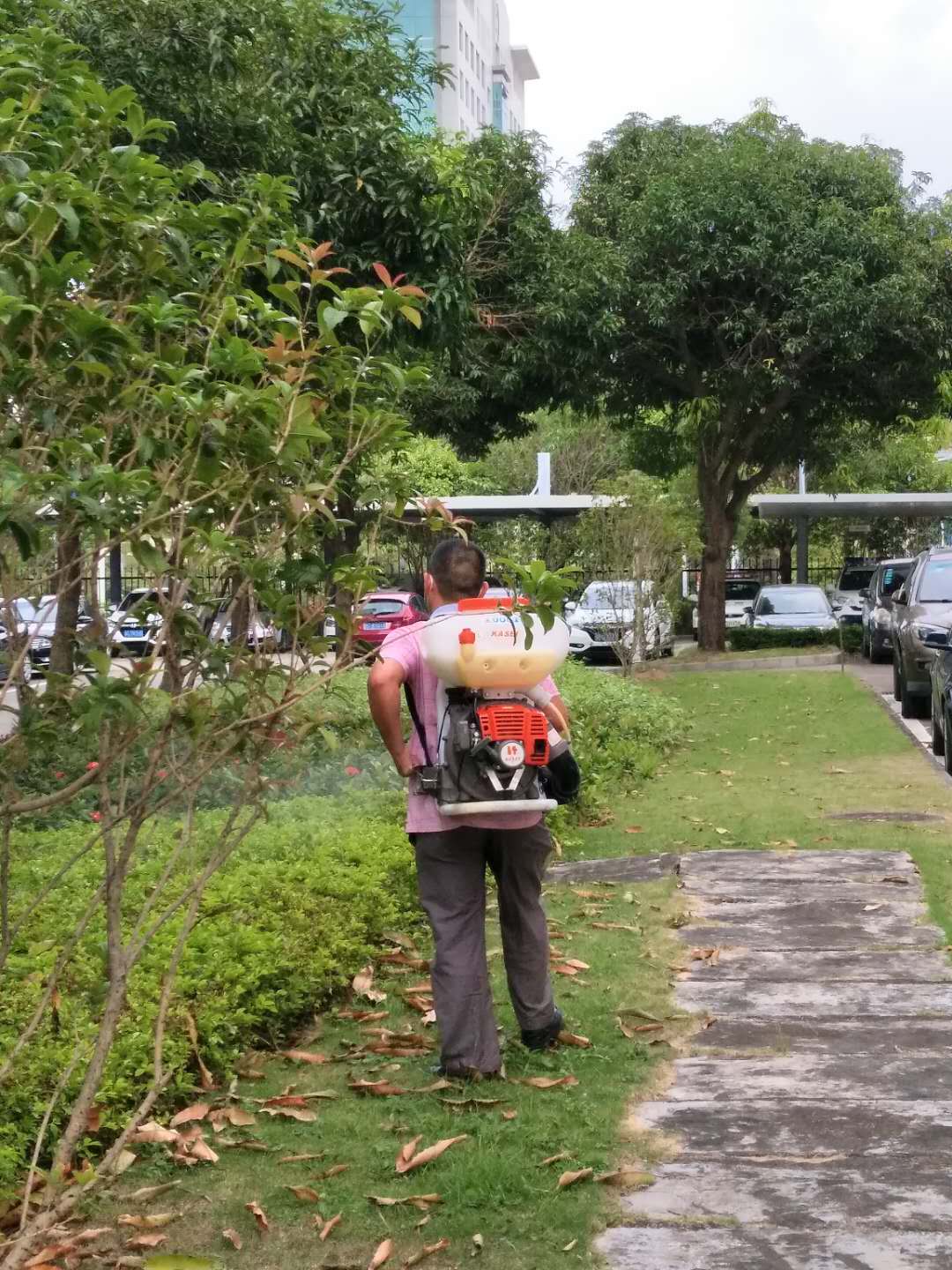 1590232805138527.jpg 8888.jpg