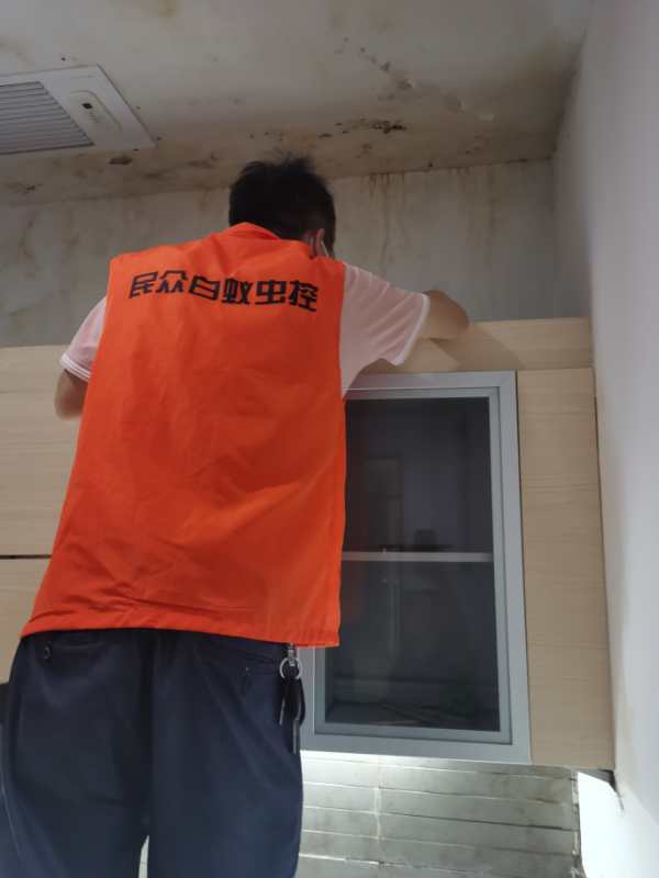 1591499700651630.jpg 1591499700651630.jpg