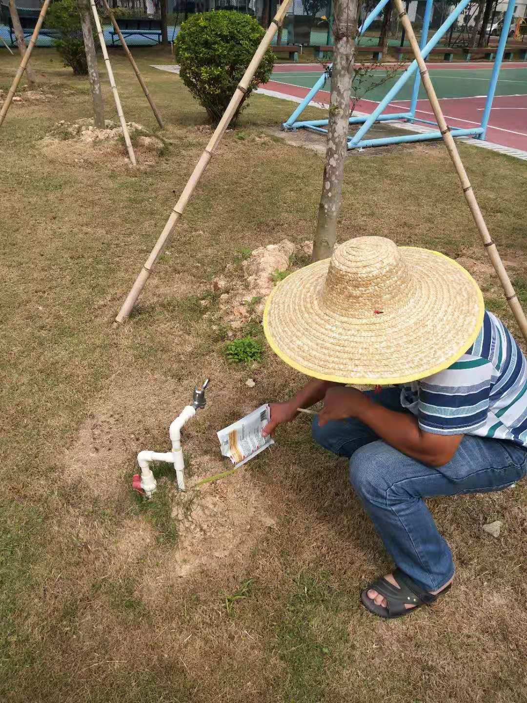 1620956819898073.jpg 1620956819898073.jpg