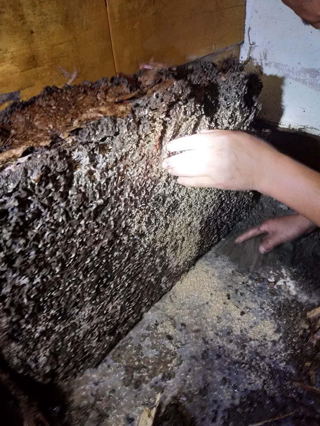 1690001354697286.jpg 1690001354697286.jpg