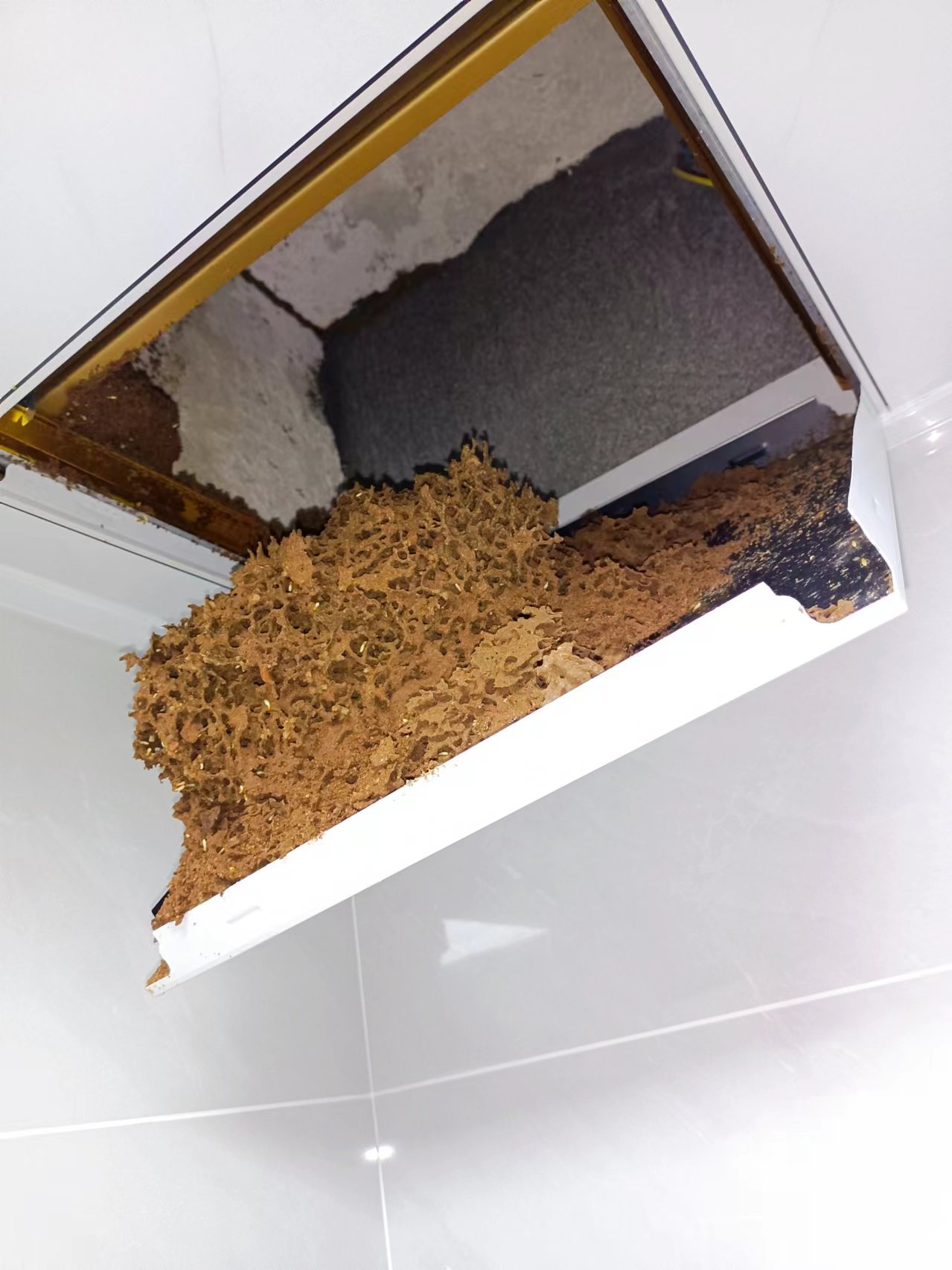 1712742240605069.jpg 1712742240605069.jpg